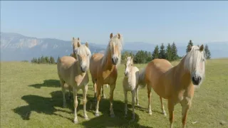 Půvab rakouských hor II.: Cesta po Karavankách