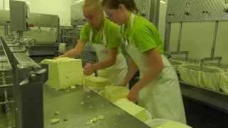 Na cestě po holandském Groene Hart