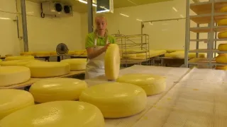 Na cestě po holandském Groene Hart