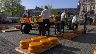 Na cestě po holandském Groene Hart