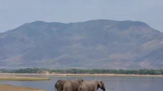Divočina Afriky kolem řek