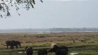 Divočina Afriky kolem řek