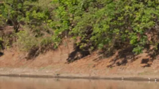 Divočina Afriky kolem řek