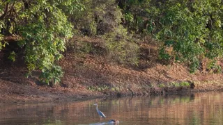 Divočina Afriky kolem řek