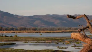 Divočina Afriky kolem řek