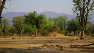 Divočina Afriky kolem řek