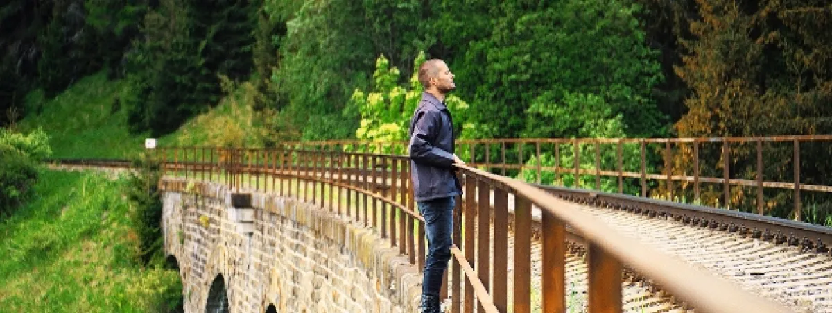 Lesní vrah, 2024 - fotogaléria