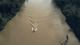 Detektiv s detektorem II (4)