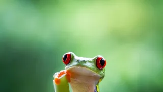 Zázračná planeta II (3)