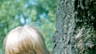 Bambuľkine dobrodružstvá (26)