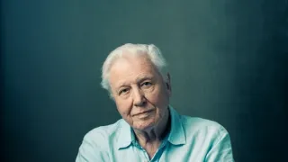 Modrá planeta II (2)