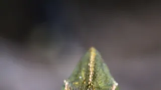 Divoké Španělsko (2/2)