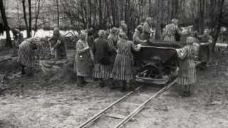 Homosexuálové proti nacismu