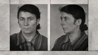 Homosexuálové proti nacismu