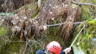 Záhady Toma Wizarda