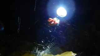 Záhady Toma Wizarda