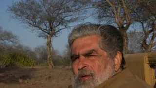 Zázračná planeta: Legendární tygří Indie