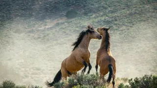 Zázračná planeta II (4)