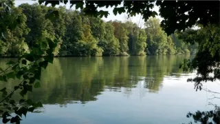 Renoir: Portrétista proměn