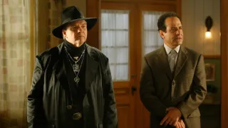 Můj přítel Monk VIII (9)