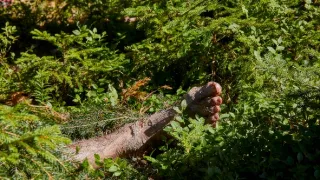 Policie Modrava III (1)