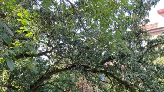 Nech plakat jen polovinu srdce