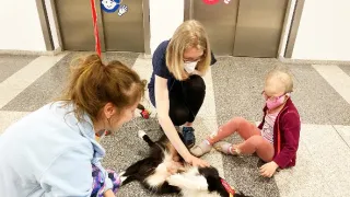 Nech plakat jen polovinu srdce