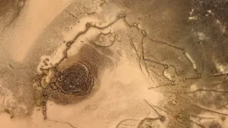 Hledání zapomenutého písma