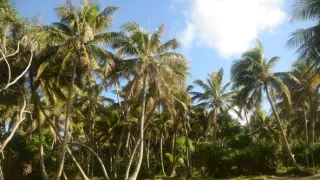 Na cestě po Vanuatu