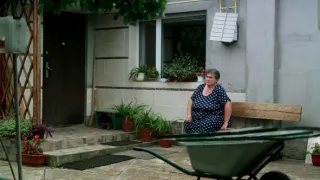 Fake News pod drobnohledem (1/2)