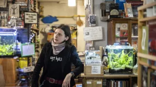 Druhý život antikvariátů