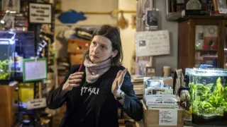 Druhý život antikvariátů