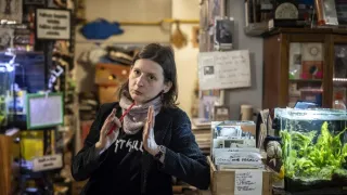 Druhý život antikvariátů