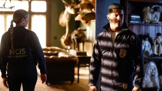 Námořní vyšetřovací služba XXII (13)