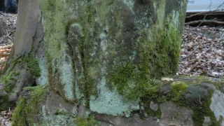 Záhady Toma Wizarda