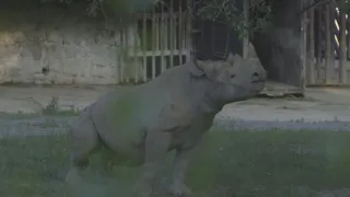 Nákladní kolosy v oblacích