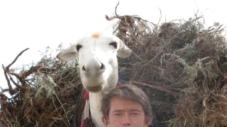 Mé dětství, má země - 20 let v Afghánistánu