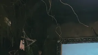 Ikony Kamila Střihavky (10/10)