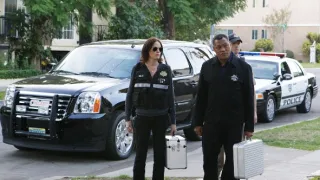 Kriminálka Las Vegas X (10)