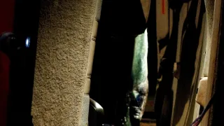 Proroctvo: Koniec sveta