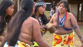 Na cestě po Dariénu