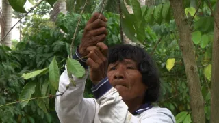 Na cestě po Dariénu