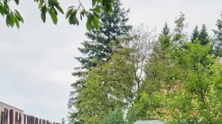 Ikony Kamila Střihavky (1/10)