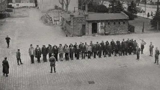 Homosexuálové proti nacismu