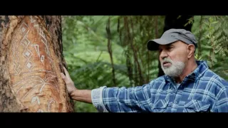 O stromech a lese: Australský obří eukalyptus