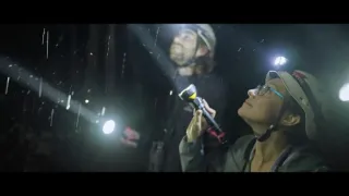 O stromech a lese: Australský obří eukalyptus