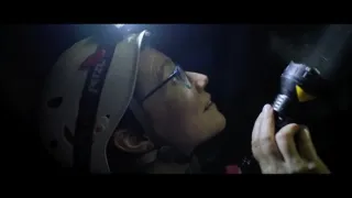 O stromech a lese: Australský obří eukalyptus