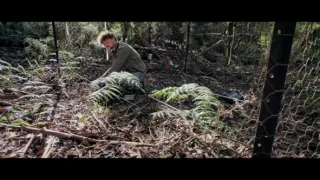 O stromech a lese: Australský obří eukalyptus