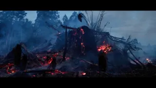 O stromech a lese: Australský obří eukalyptus