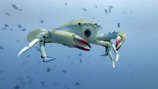 Zázračná planeta: Zvířecí špioni pod hladinou (1/4)